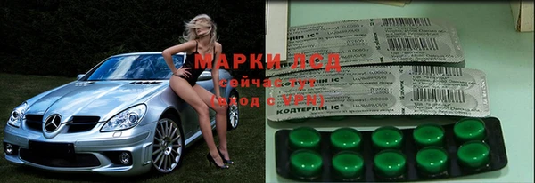 apvp Белокуриха