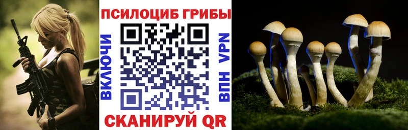 Псилоцибиновые грибы MAGIC MUSHROOMS  Нерюнгри 